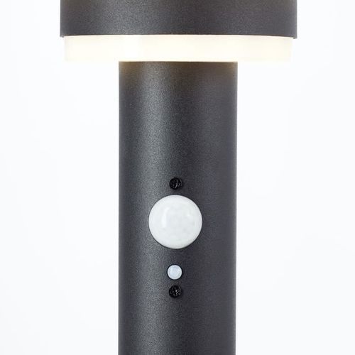 Potelet Extérieur - Garvina - LED Et Solaire - Détecteur De Mouvement - Acier Inoxydable Et Plastiqu