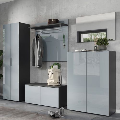 Penderie Murale Design Verre Gris 5 Crochets 1 Penderie Artom