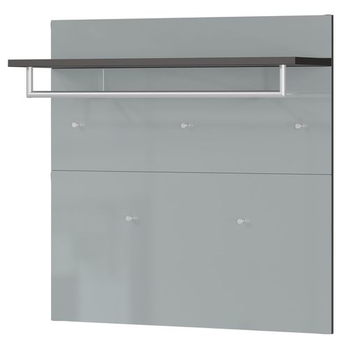 Penderie Murale Design Verre Gris 5 Crochets 1 Penderie Artom