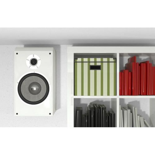 Cheville Pour Plaque De Plâtre Gkm - Boîte De 100