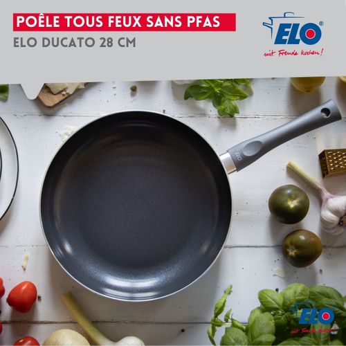 Poêle Tous Feux 28 Cm Sans Pfas Ducato
