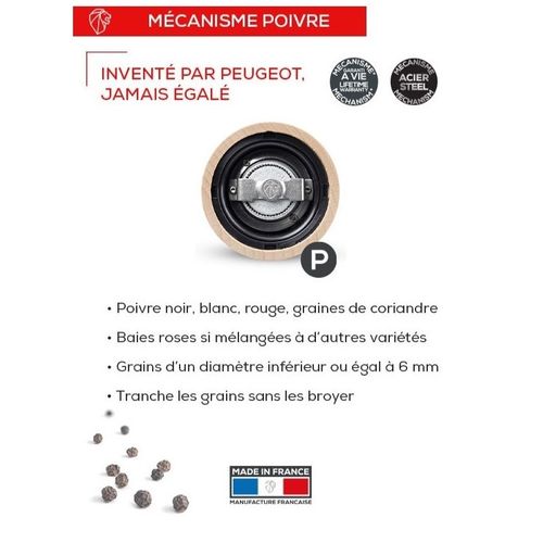 Moulin à Poivre Paris Chef Cuivré 22 Cm En Inox