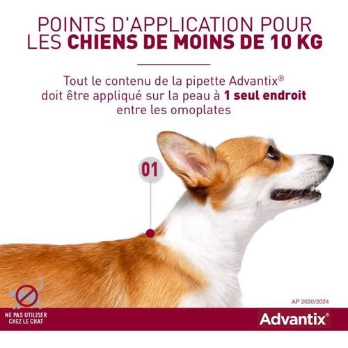 Chien Solution Antiparasitaire Puces Tiques Répulsif Mouches Phlébotomes 1,5 à 4kg 4 Pipettes