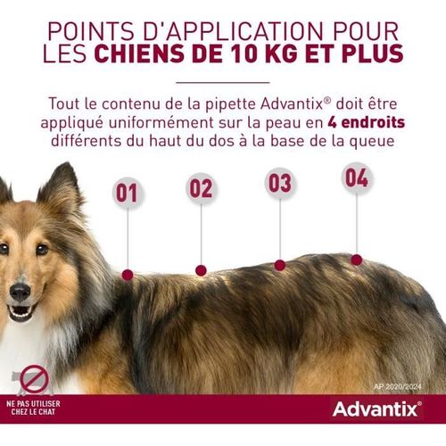 Chien Solution Antiparasitaire Grande Race 25 à 40kg 6 Pipettes