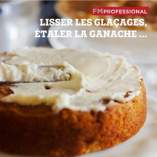 Mini Spatule Coudée 22,5 Cm Fm Professional