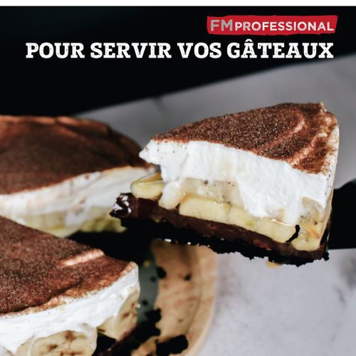 Mini Spatule Coudée 22,5 Cm Fm Professional