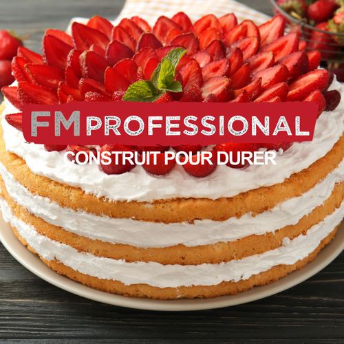 Mini Spatule Coudée 22,5 Cm Fm Professional