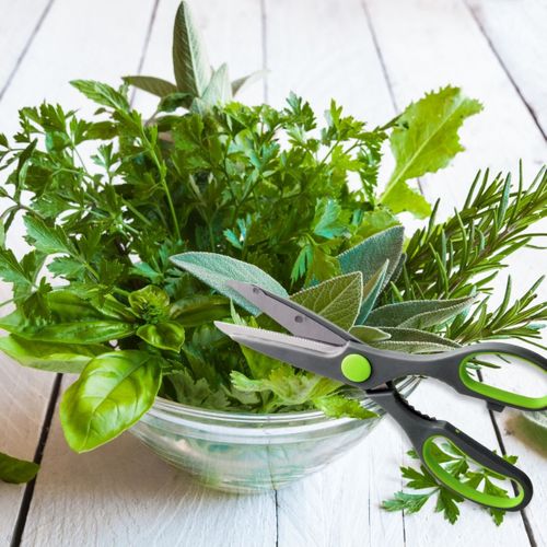 Ciseaux De Cuisine Décapsuleur Nirosta