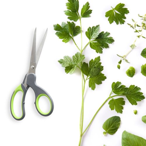 Ciseaux à Prise Souple Nirosta