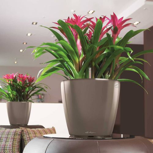 Jardinière Classico 43 Ls All-in-one Taupe Brillant 16085