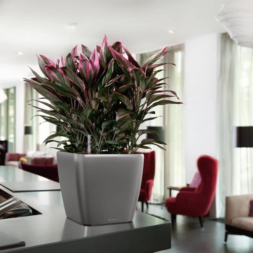 Jardinière Quadro 43 Ls All-in-one Charbon 16183