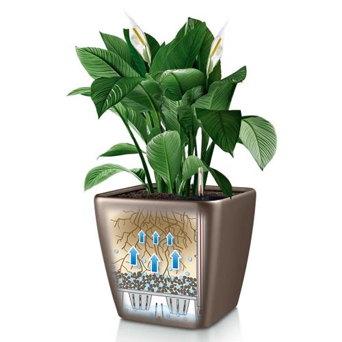 Jardinière Quadro 43 Ls All-in-one Taupe Brillant 16185