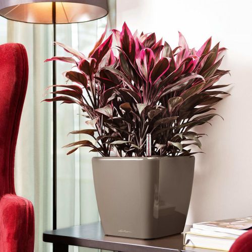 Jardinière Quadro 43 Ls All-in-one Taupe Brillant 16185