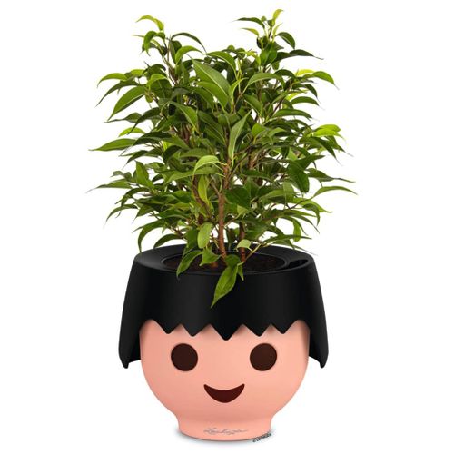 Jardinière De Table Ojo All-in-one Noir Corbeau