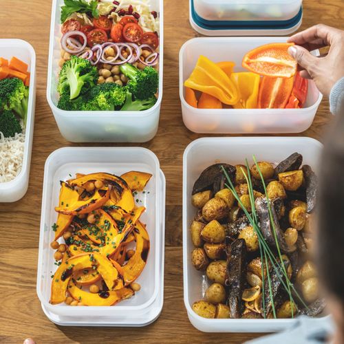 Kit De Démarrage Sous Vide, Plastique, 8-pcs, La Mer