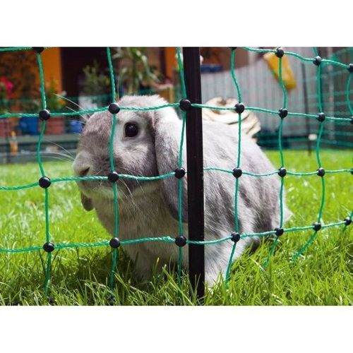 Filet Pour Lapin Et Autres Petits Animaux Électrifiable - 50 M - 65 Cm - Double Pointe - Vert