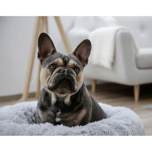 Corbeille - Fluffy - Ø60 X 18 Cm - Gris Clair