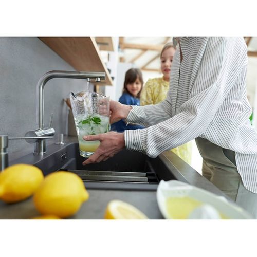 Mitigeur Fontas Ii, 2 En 1, Commande D'eau Filtrée, 523128