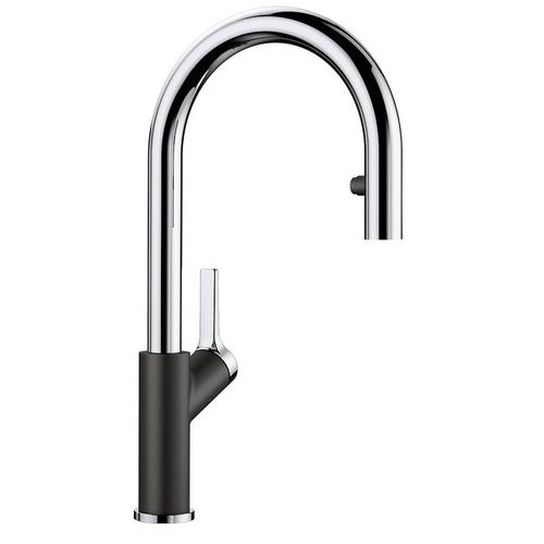 Robinet Douchette Carena-s Noir Et Chromé