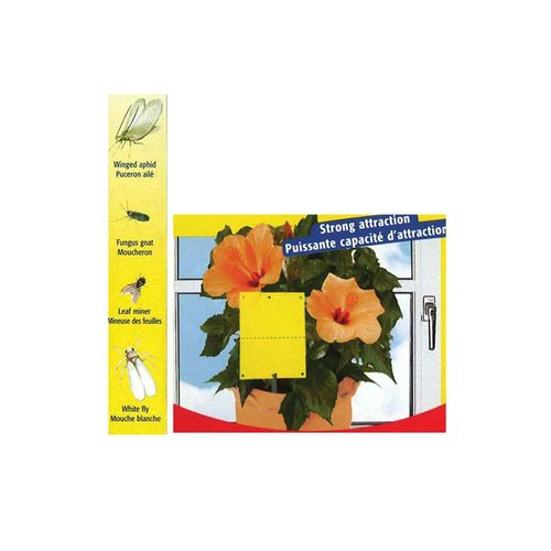 Lot De 10 Pièges Collants Pour Plantes