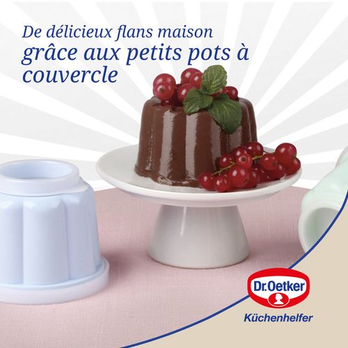 Lot De 6 Moules à Flans Avec Couvercle 6,3 X 7,5 Cm Dr. Oetker Rétro