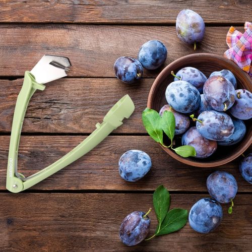 Dénoyauteur De Prunes Confiture