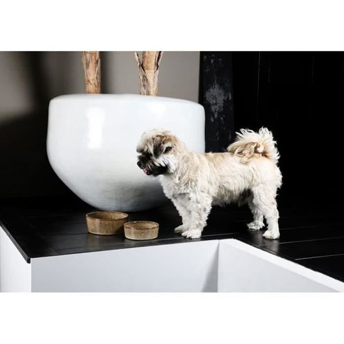 Chien Gamelle Et Bol D`eau Jasper Sand 20,8x20,8x9cm 1,159kg