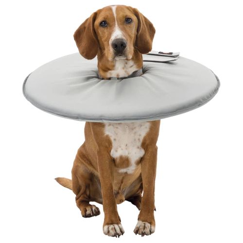 Collier De Protection Pour Animaux De Compagnie L-xl 27 Cm