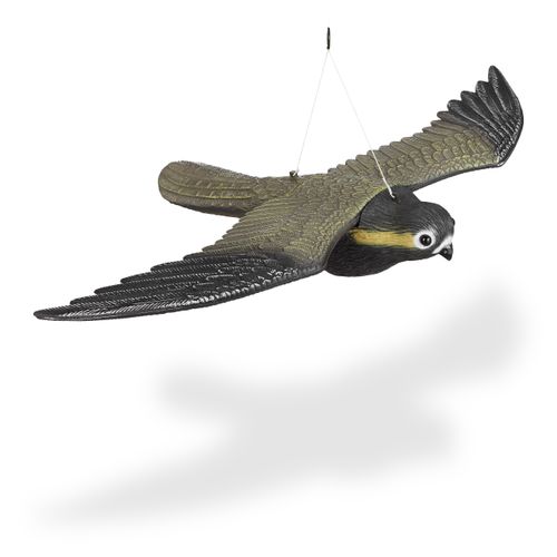 Faucon Volant Répulsif Pour Oiseaux