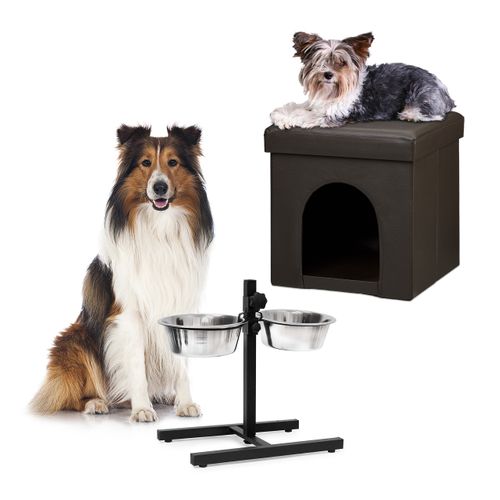 Ensemble Pour Chien, 2 Pièces