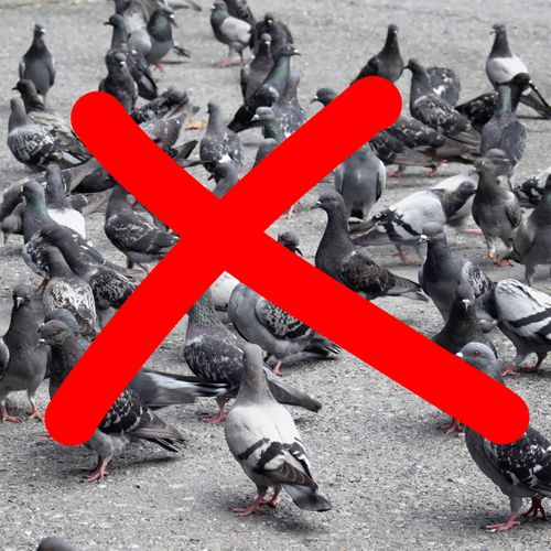 Lot De 3 Corbeaux De Jardin Anti-pigeon