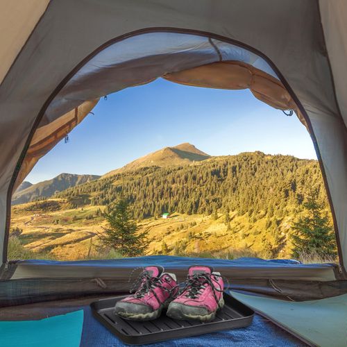 Lot De 3 Bacs à Chaussures