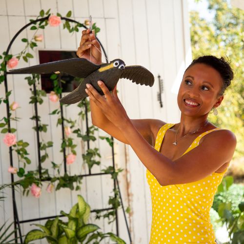 Lot De 3 Faucons Volants Répulsifs