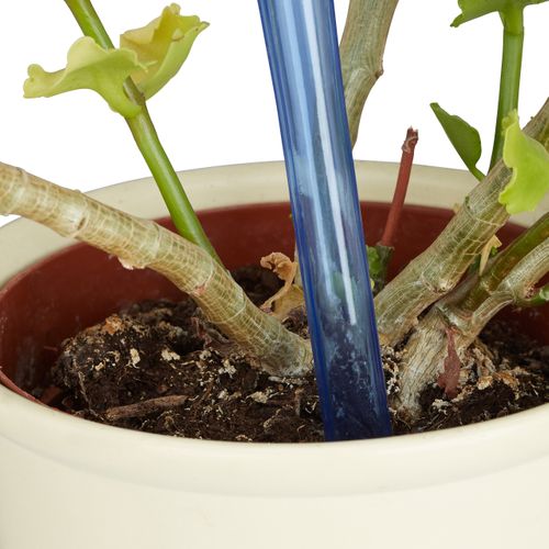 Globes D’arrosage Lot De 24 Bleu