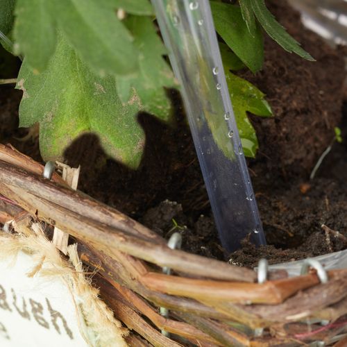 Globes D’arrosage Lot De 8 Transparent