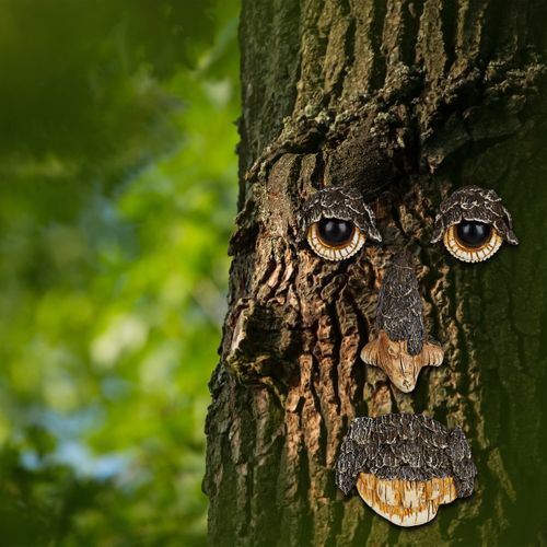 Visage Tronc D'arbre Esprit De La Nature