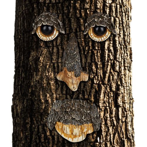 Visage Tronc D'arbre Esprit De La Nature