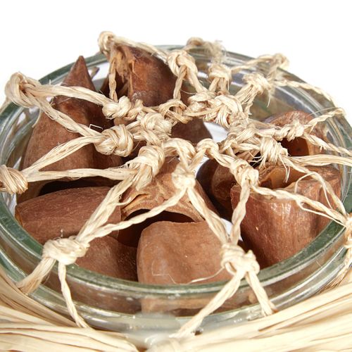 Déco Plage Avec Coquilles Lot De 3