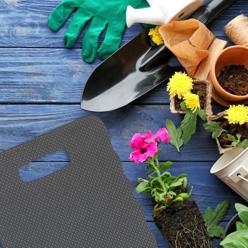 Lot De 10 Planches Genoux