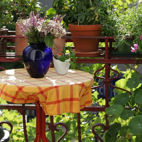 Lot De 12 Cônes D’arrosage