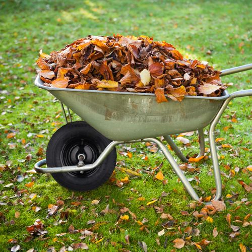 Roue De Brouette Axe 4.80 4.00-8