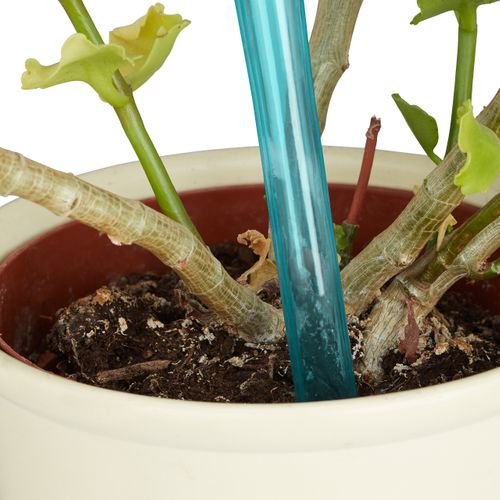 Globes D’arrosage En Plastique Lot De 12