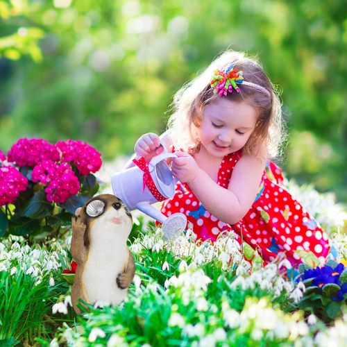 Lot De 2 Statues De Jardin Marmotte