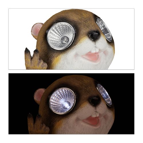 Lot De 2 Statues De Jardin Marmotte