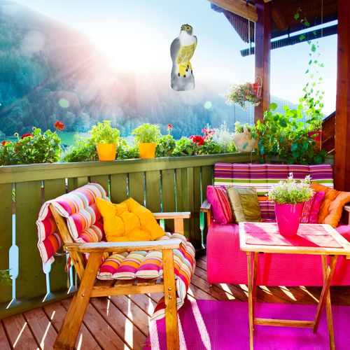 Épouvantail Faucon Assis Lot De 8