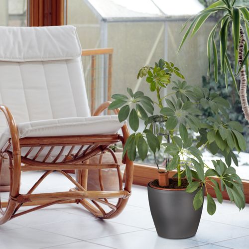 Cône D’arrosage En Argile Lot De 4