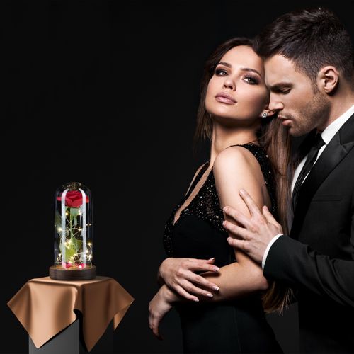 Rose Éternelle Sous Cloche Avec Lumière