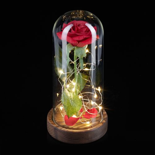 Rose Éternelle Sous Cloche Avec Lumière