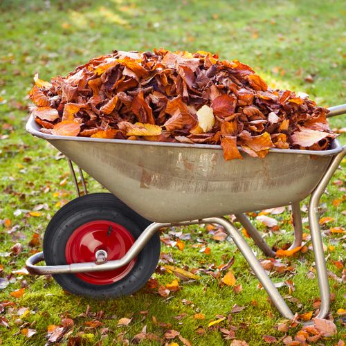 Roue De Brouette 4.80 4.00-8 Pneumatique