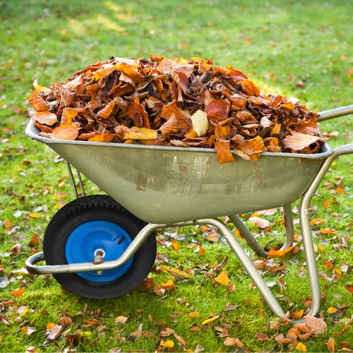 Roue De Brouette En Lot De 2